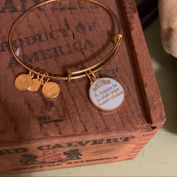 Alex and Ani Disney Bracelet - Picture 5 of 6